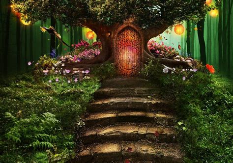Awakening the Mystical: Opening a Magical Woodland in Your Town